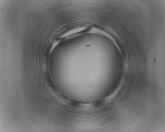 X0000075890170200610062102