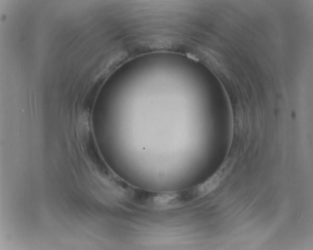 X0000075890172200610062102