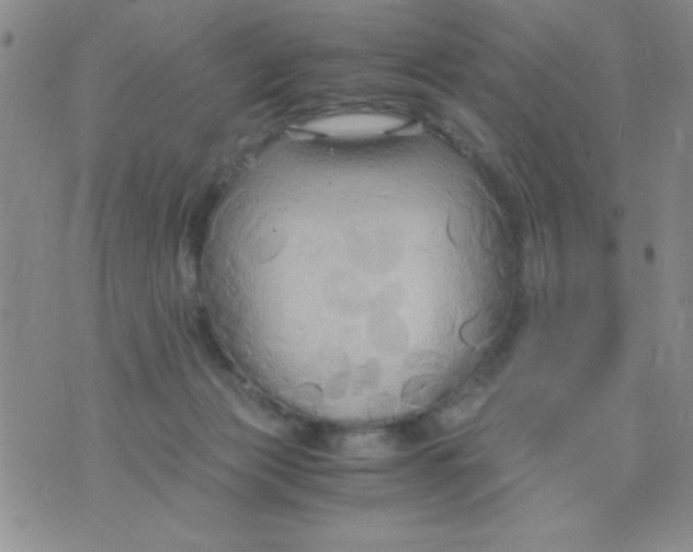 X0000075890173200610062102