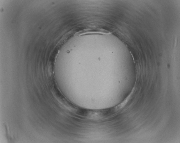 X0000075890174200610062102