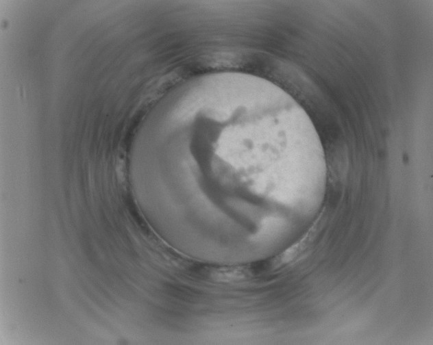 X0000075890175200610062102