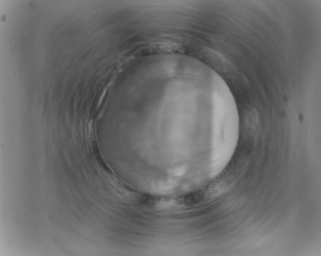 X0000075890177200610062102