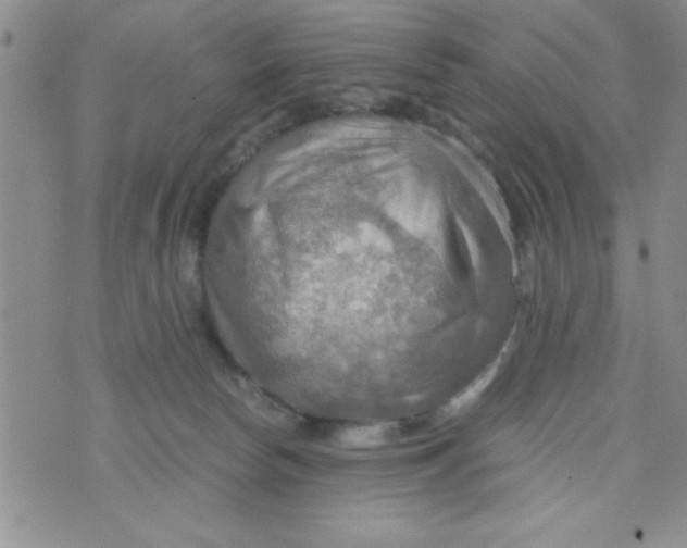 X0000075890178200610062102