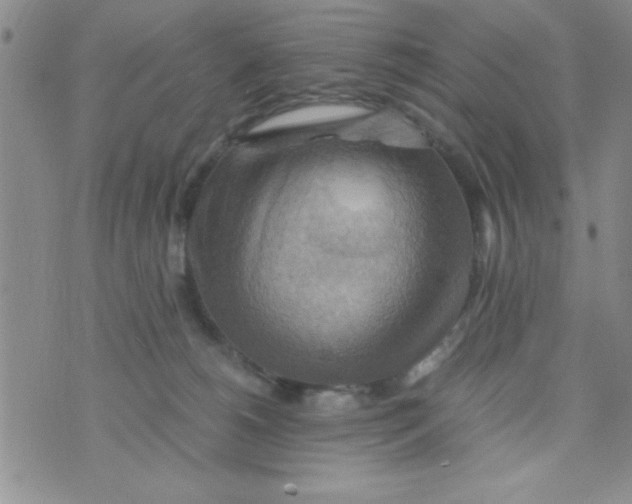 X0000075890180200610062102