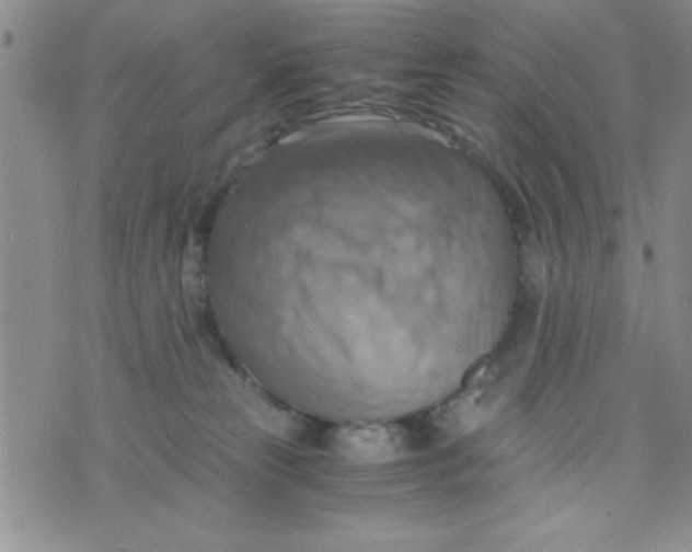 X0000075890181200610062102