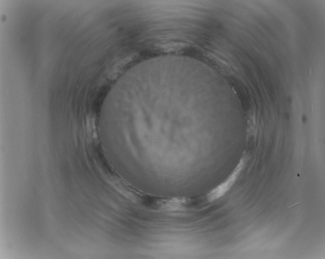 X0000075890182200610062102