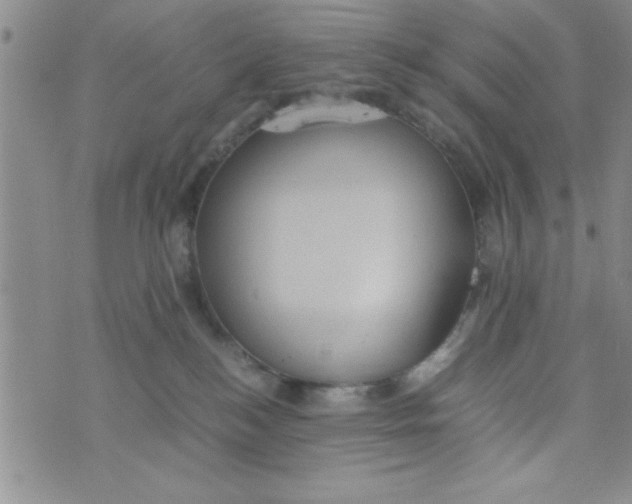 X0000075890184200610062102