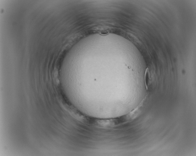 X0000075890187200610062102