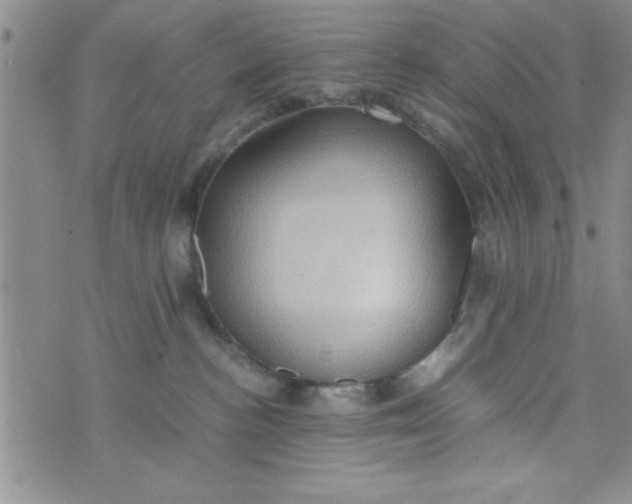 X0000075890188200610062102