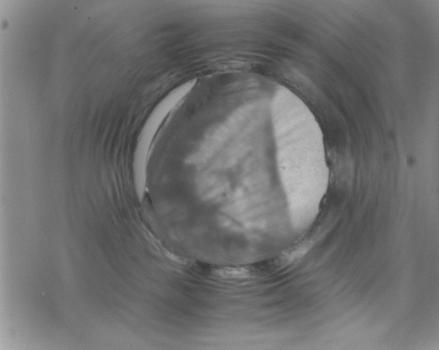 X0000075890189200610062102