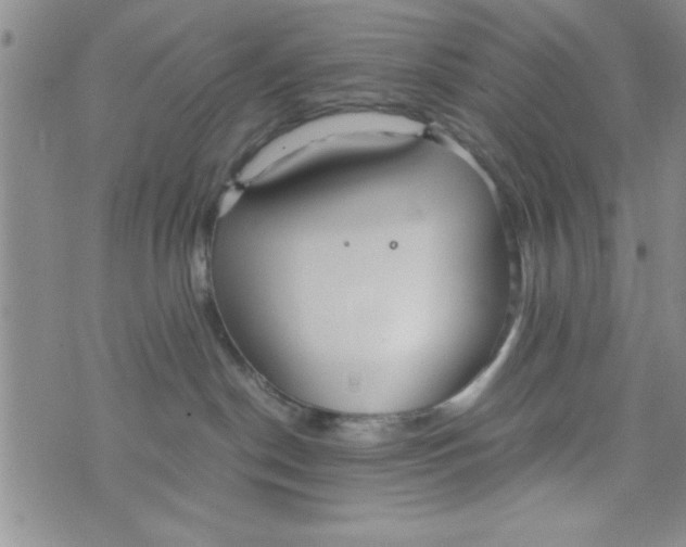 X0000075890190200610062102