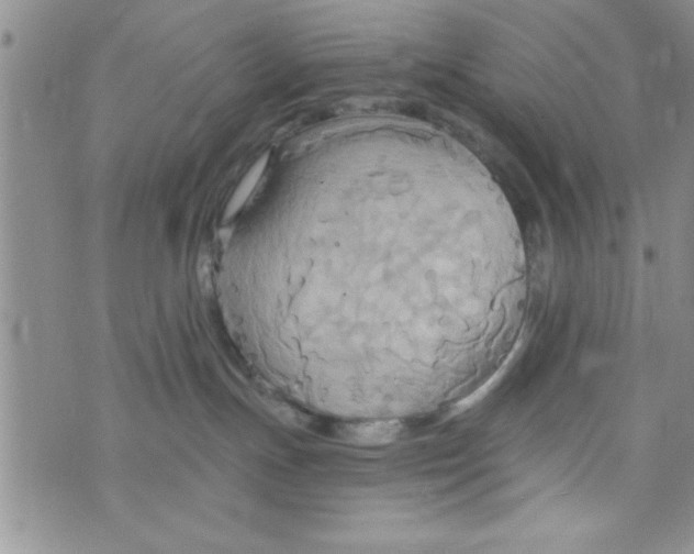 X0000075890191200610062102