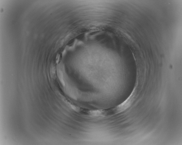 X0000075890192200610062102