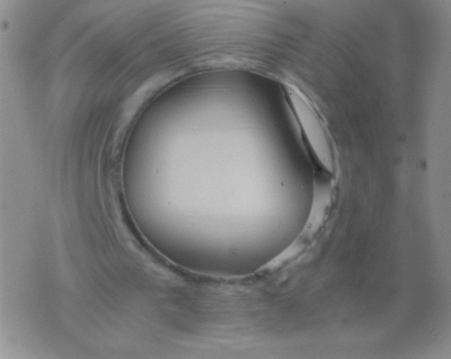 X0000075890193200610062101