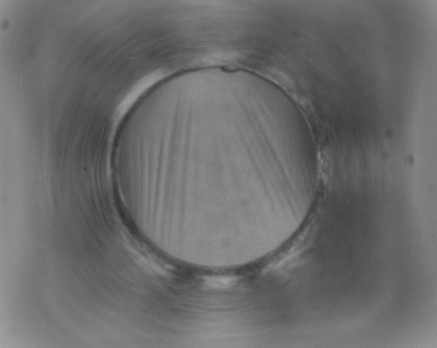 X0000075890196200610062101