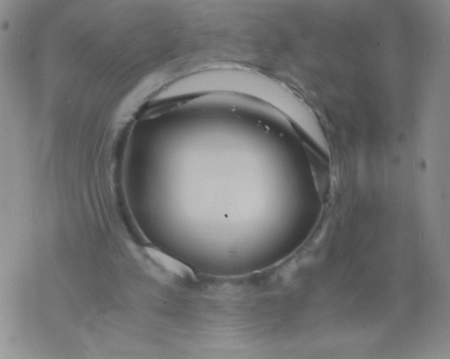 X0000075890197200610062101