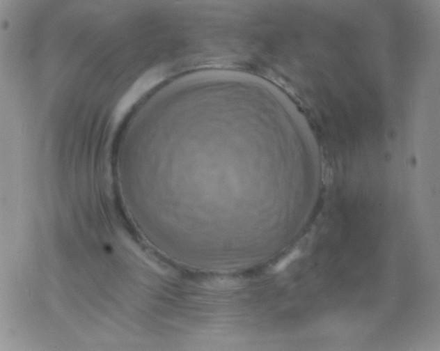 X0000075890198200610062101