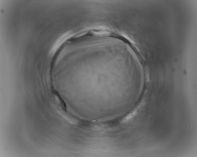 X0000075890199200610062101