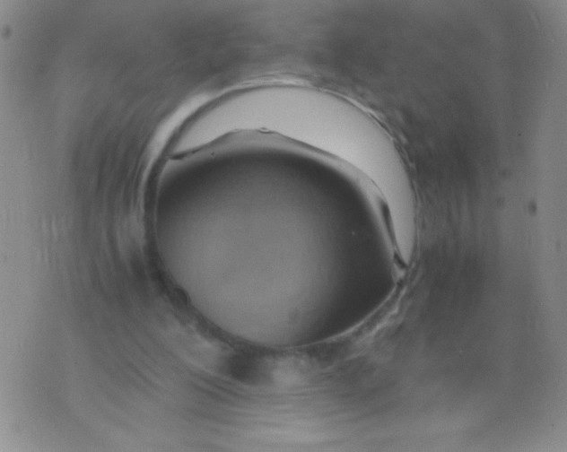 X0000075890200200610062101