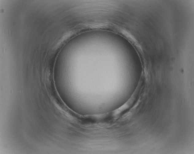 X0000075890201200610062101