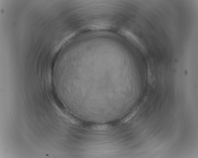 X0000075890202200610062101