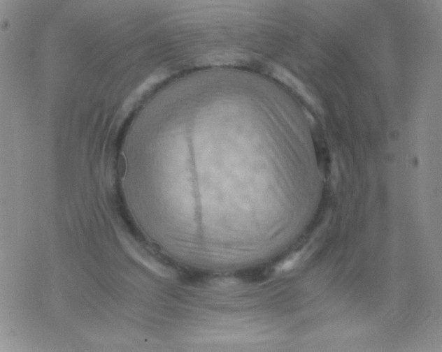 X0000075890203200610062101