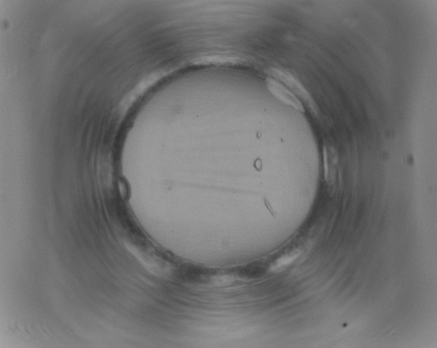 X0000075890204200610062101