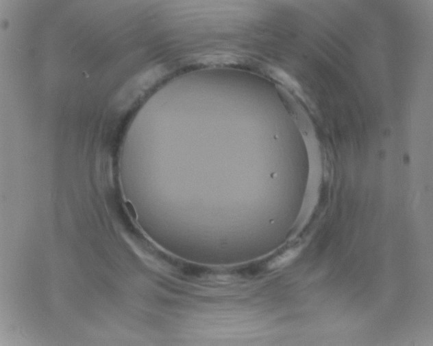 X0000075890205200610062101