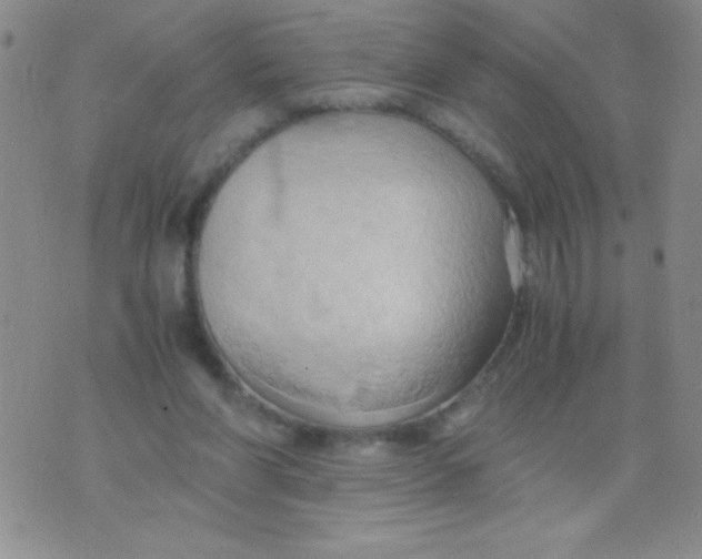 X0000075890206200610062101