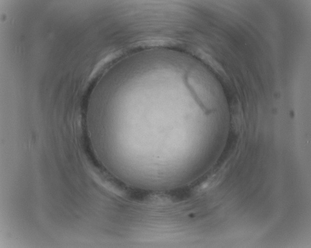 X0000075890207200610062101