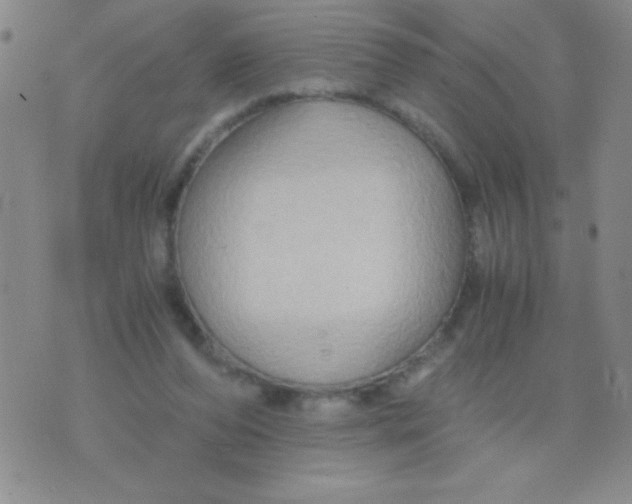 X0000075890208200610062101