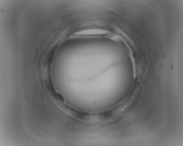 X0000075890209200610062101