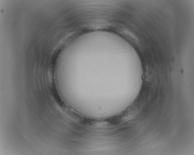 X0000075890210200610062101