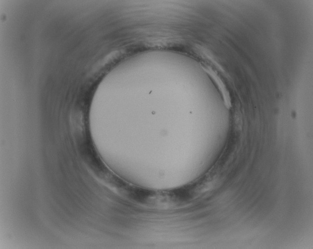 X0000075890211200610062101