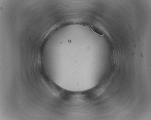 X0000075890212200610062101