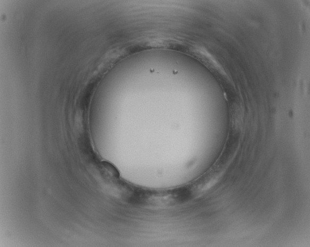 X0000075890213200610062101