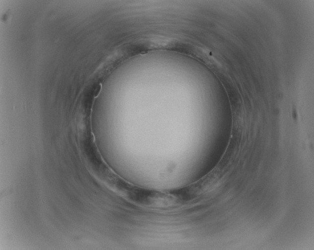 X0000075890215200610062101