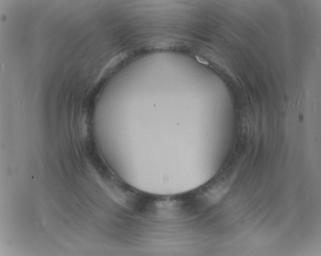 X0000075890216200610062101