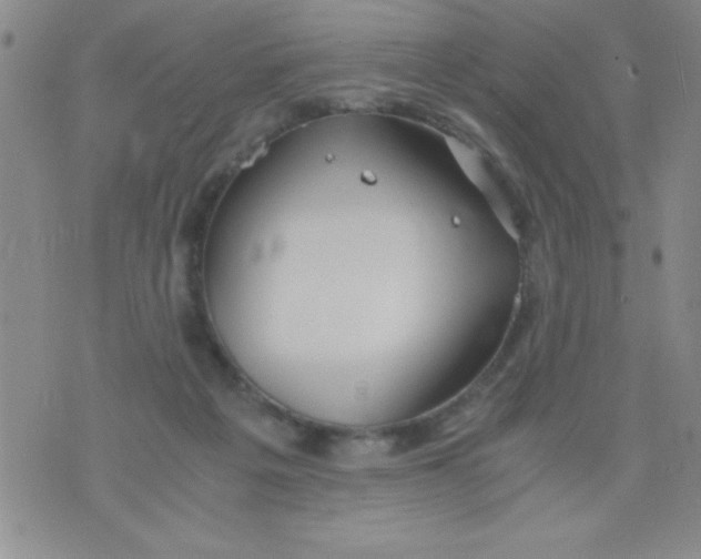 X0000075890217200610062101