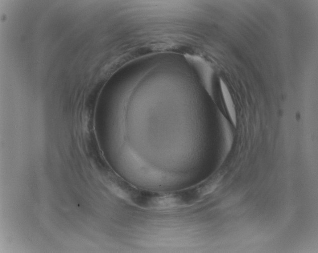 X0000075890219200610062101