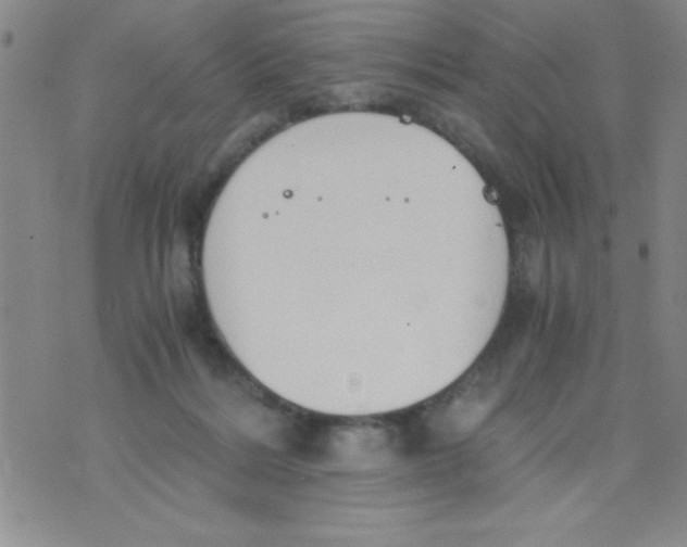 X0000075890220200610062101