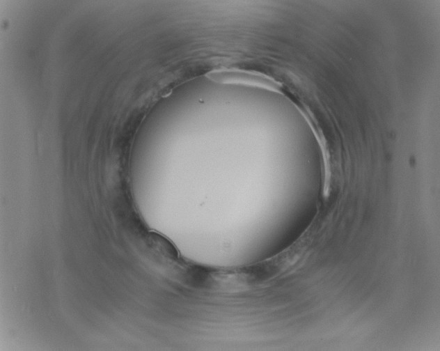 X0000075890221200610062101