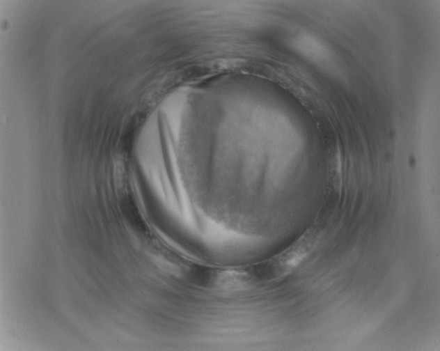 X0000075890222200610062101