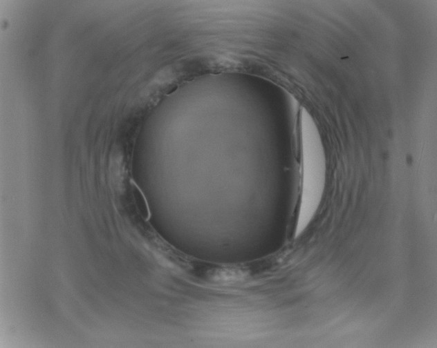 X0000075890223200610062101