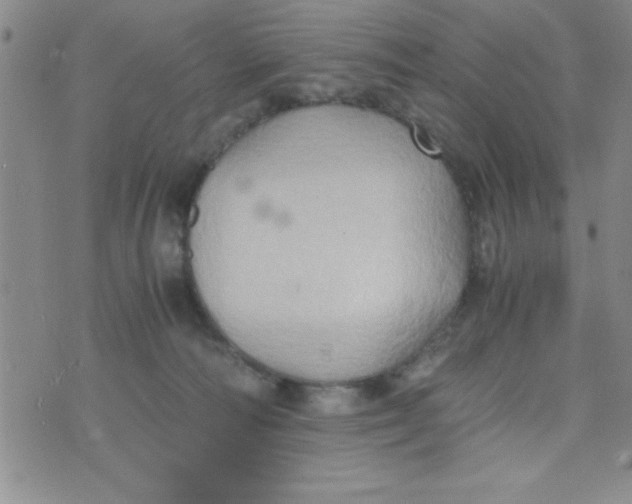 X0000075890226200610062101