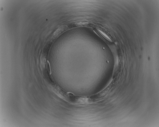 X0000075890227200610062101