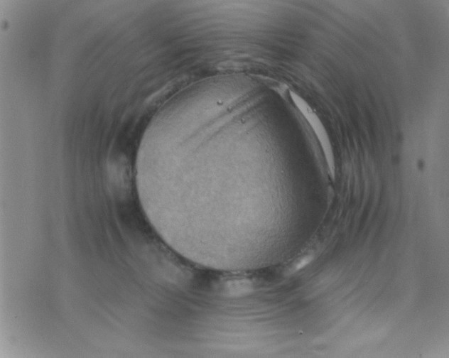 X0000075890228200610062101