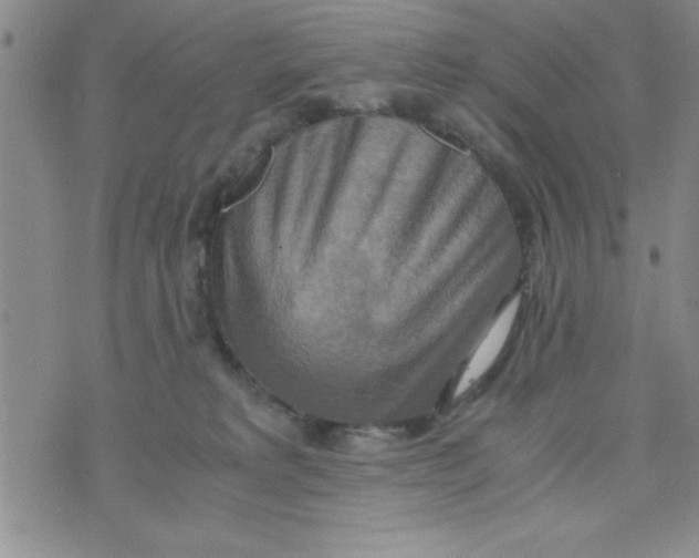 X0000075890229200610062101