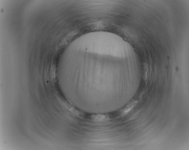 X0000075890230200610062101