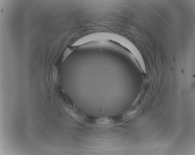 X0000075890231200610062101